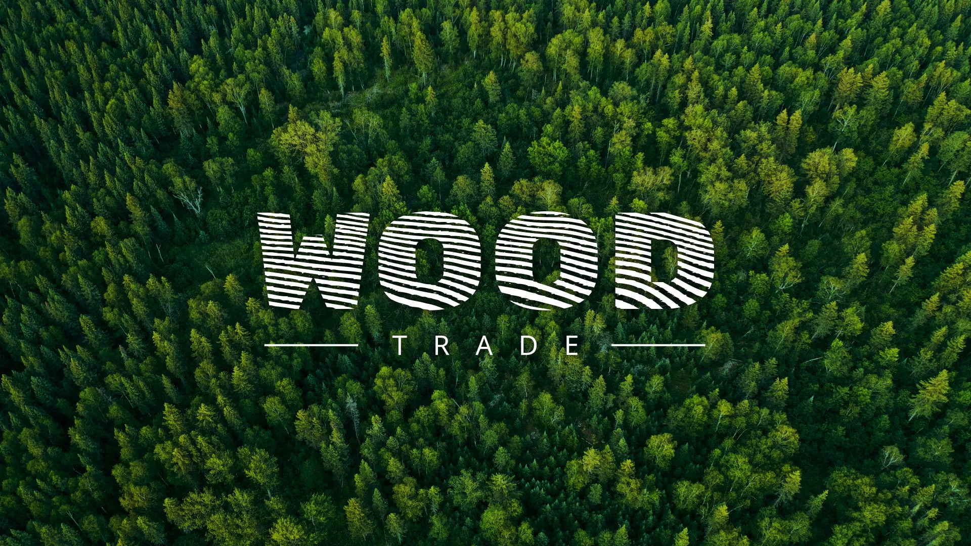 Разработка интернет-магазина компании «Wood Trade» в Алатыре