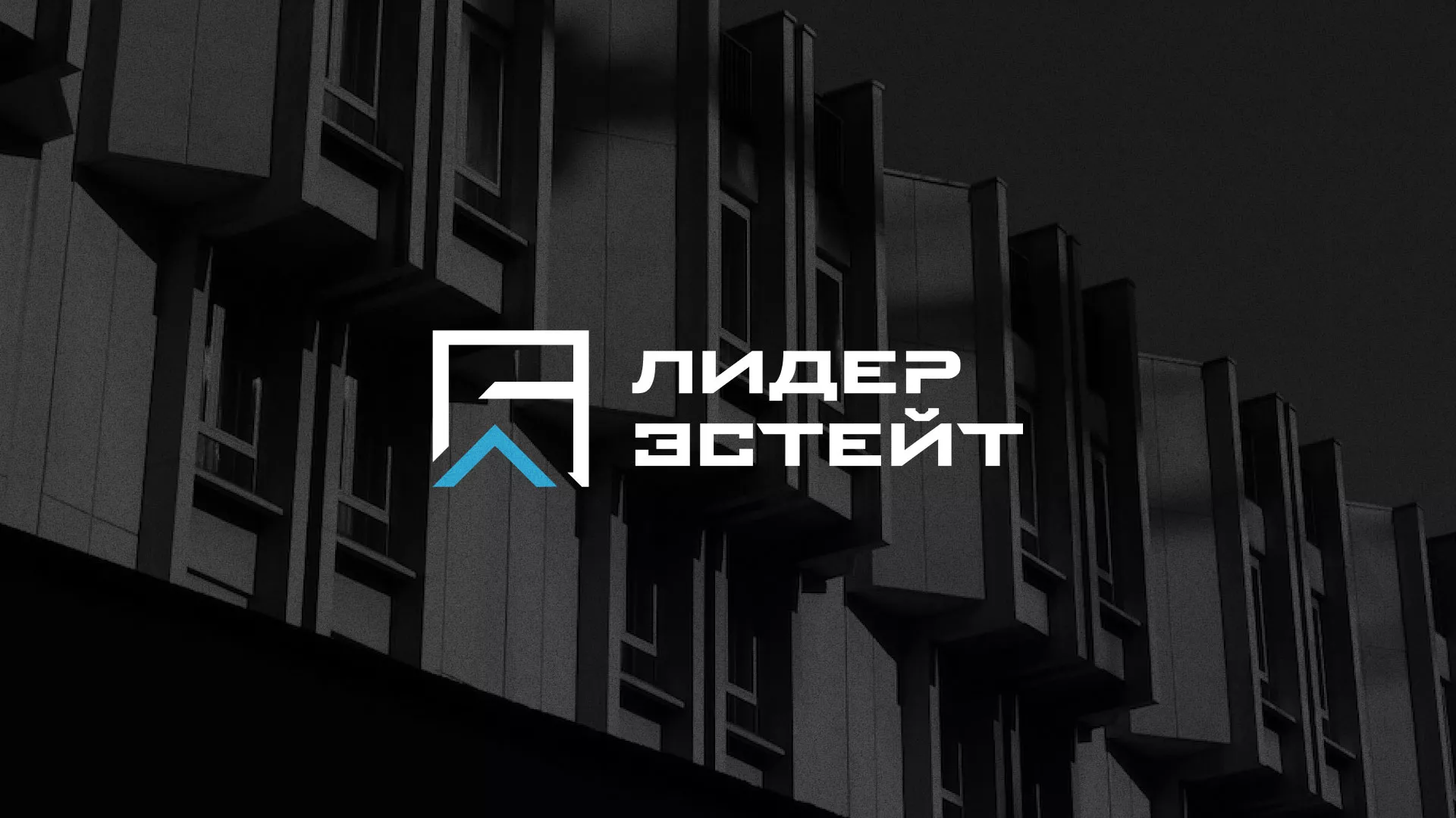 Разработка логотипа агентства недвижимости «Лидер Эстейт» в Алатыре